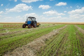 Обява продава земеделска земя, с. Любен, област Силистра