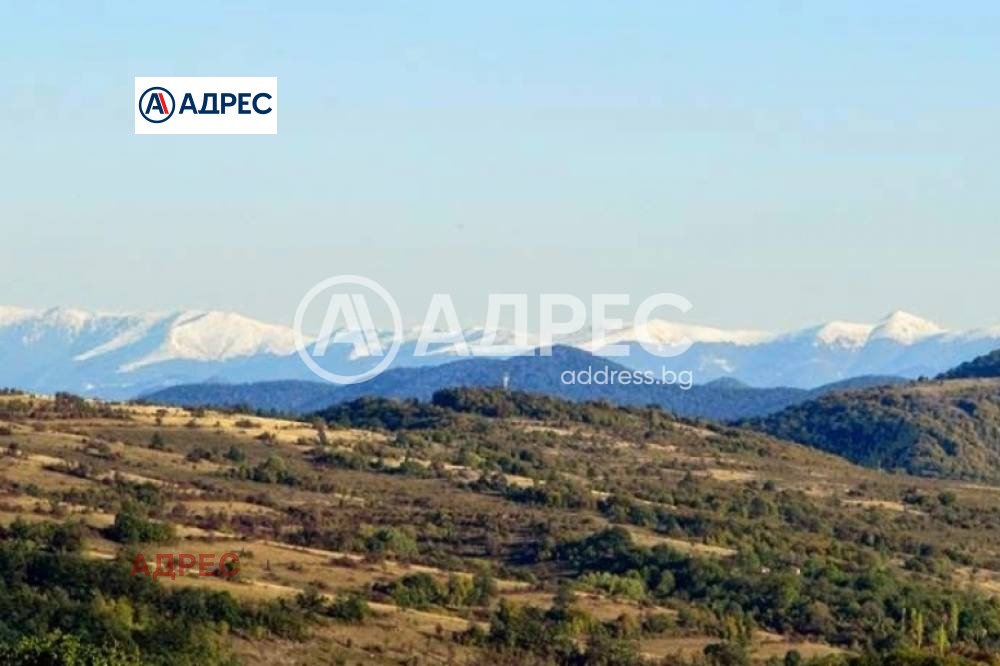 Продава ХОТЕЛ, с. Типченица, област Враца, снимка 17 - Хотели - 54643801