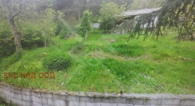 ����� ������� ������,�. ��������, ������ �������