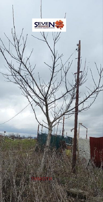 ������� ������ | Imot.bg � ����������� 1