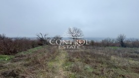 ������� ������ | Imot.bg � ����� ������ 8