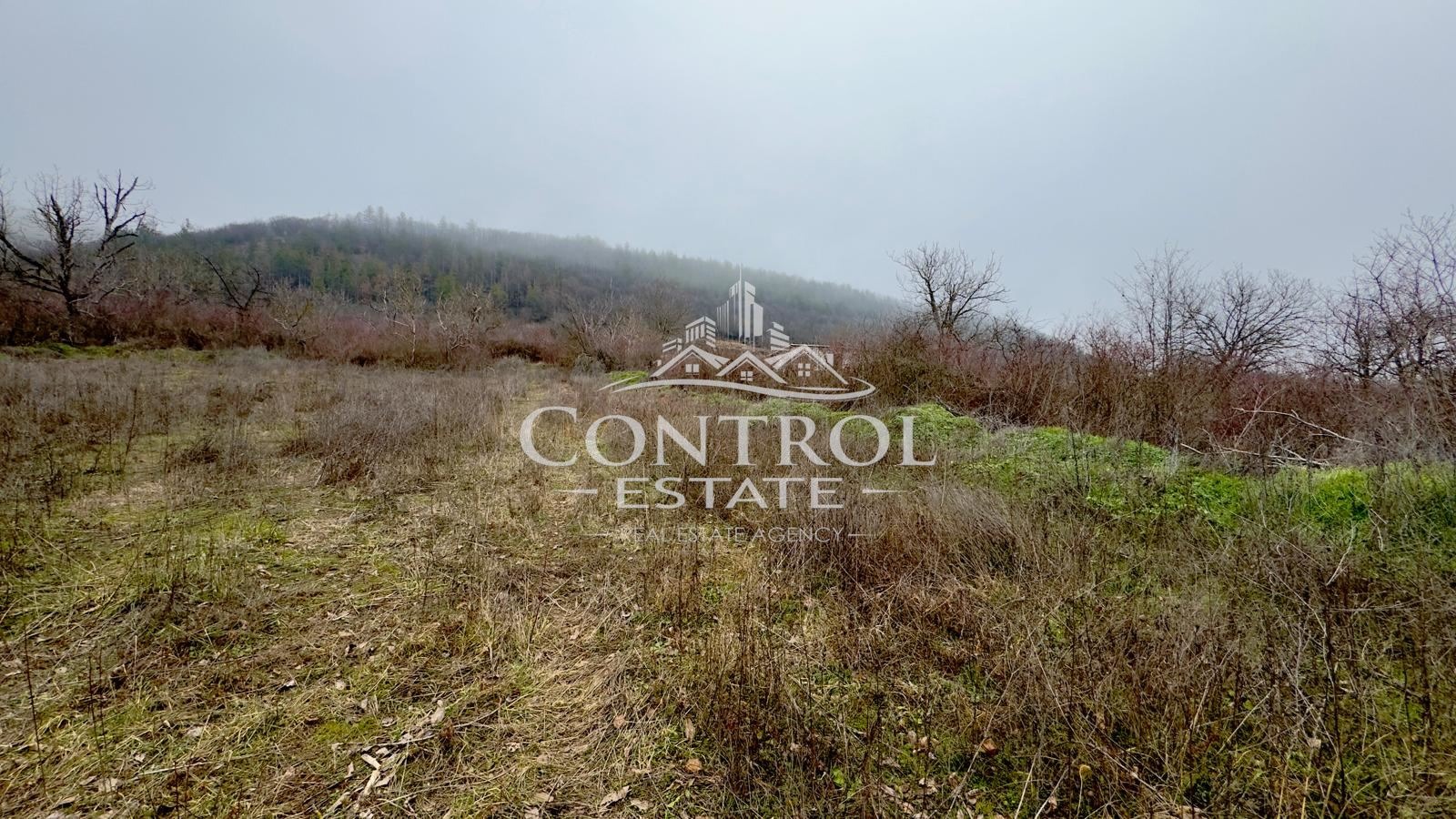 Продава ПАРЦЕЛ, гр. Дебелец, област Велико Търново, снимка 3 - Парцели - 54202049