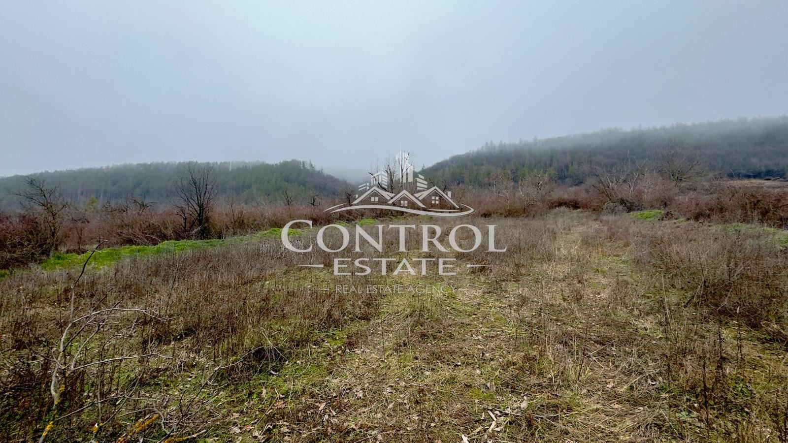 Продава ПАРЦЕЛ, гр. Дебелец, област Велико Търново, снимка 2 - Парцели - 54202049