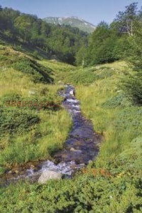 Продава КЪЩА, с. Тъжа, област Стара Загора, снимка 12 - Къщи - 55759992