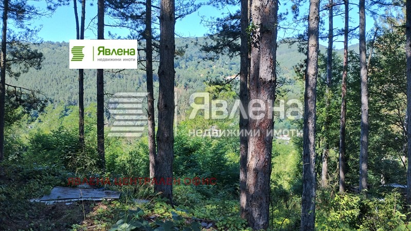 Продава ПАРЦЕЛ, с. Владо Тричков, област София област, снимка 8 - Парцели - 54647916