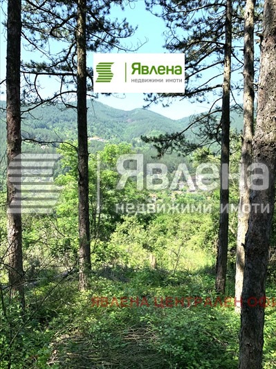 Продава ПАРЦЕЛ, с. Владо Тричков, област София област, снимка 2 - Парцели - 54647916