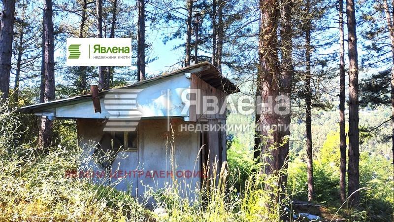 Продава ПАРЦЕЛ, с. Владо Тричков, област София област, снимка 3 - Парцели - 54647916