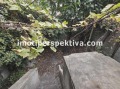 Продава ЕТАЖ ОТ КЪЩА, град Пловдив, Център • 183600 € / 359090.39 лв. • 38880517 3