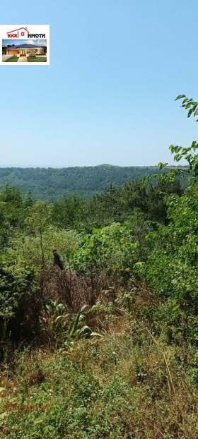 Cselekmény Kavarna, régió Dobrich 1