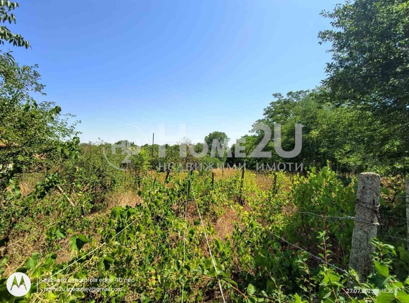 De vânzare  Casa regiunea Varna , Vetrino , 180 mp | 77176014 - imagine [13]