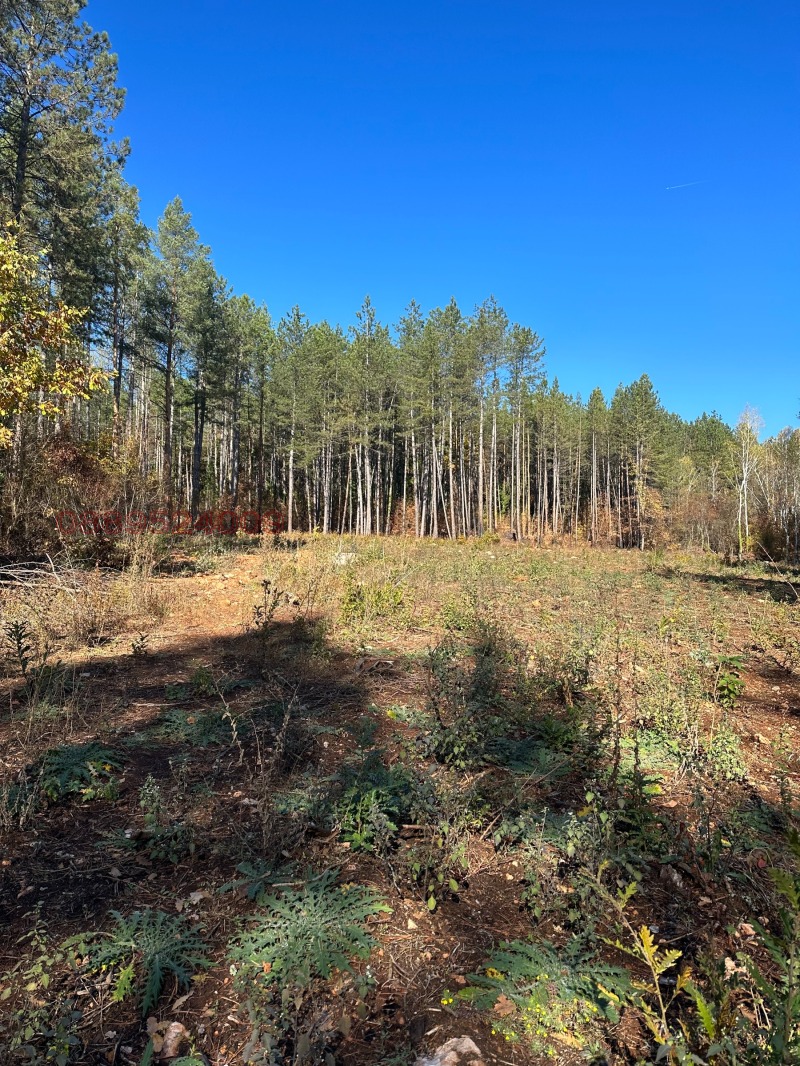 Продава ПАРЦЕЛ в област Стара Загора, с. Старозагорски бани - 2001 кв.м / 98 000 € » 191 671.34 лв.