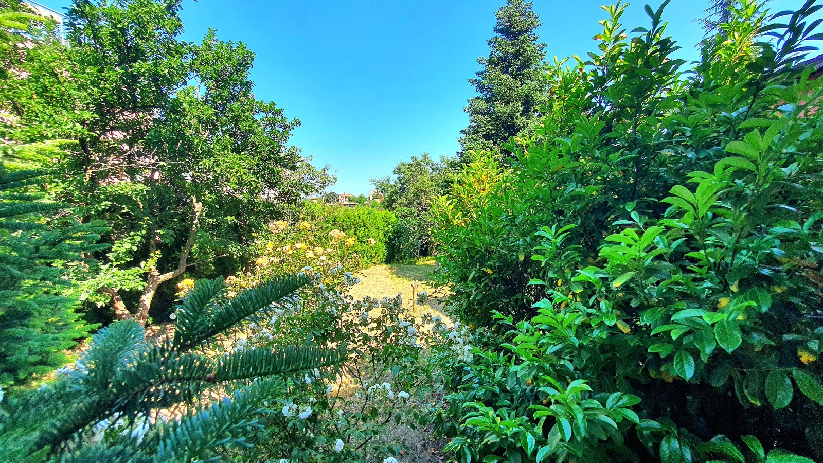 Продава КЪЩА | Imot.bg — изображение 7