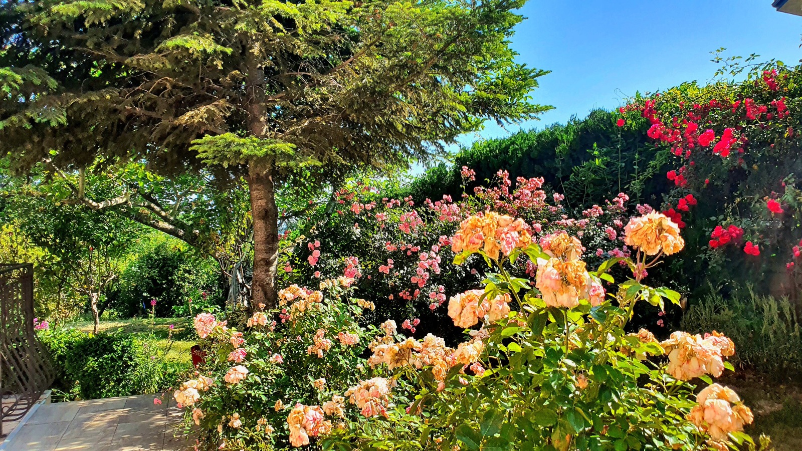 Продава КЪЩА | Imot.bg — изображение 9