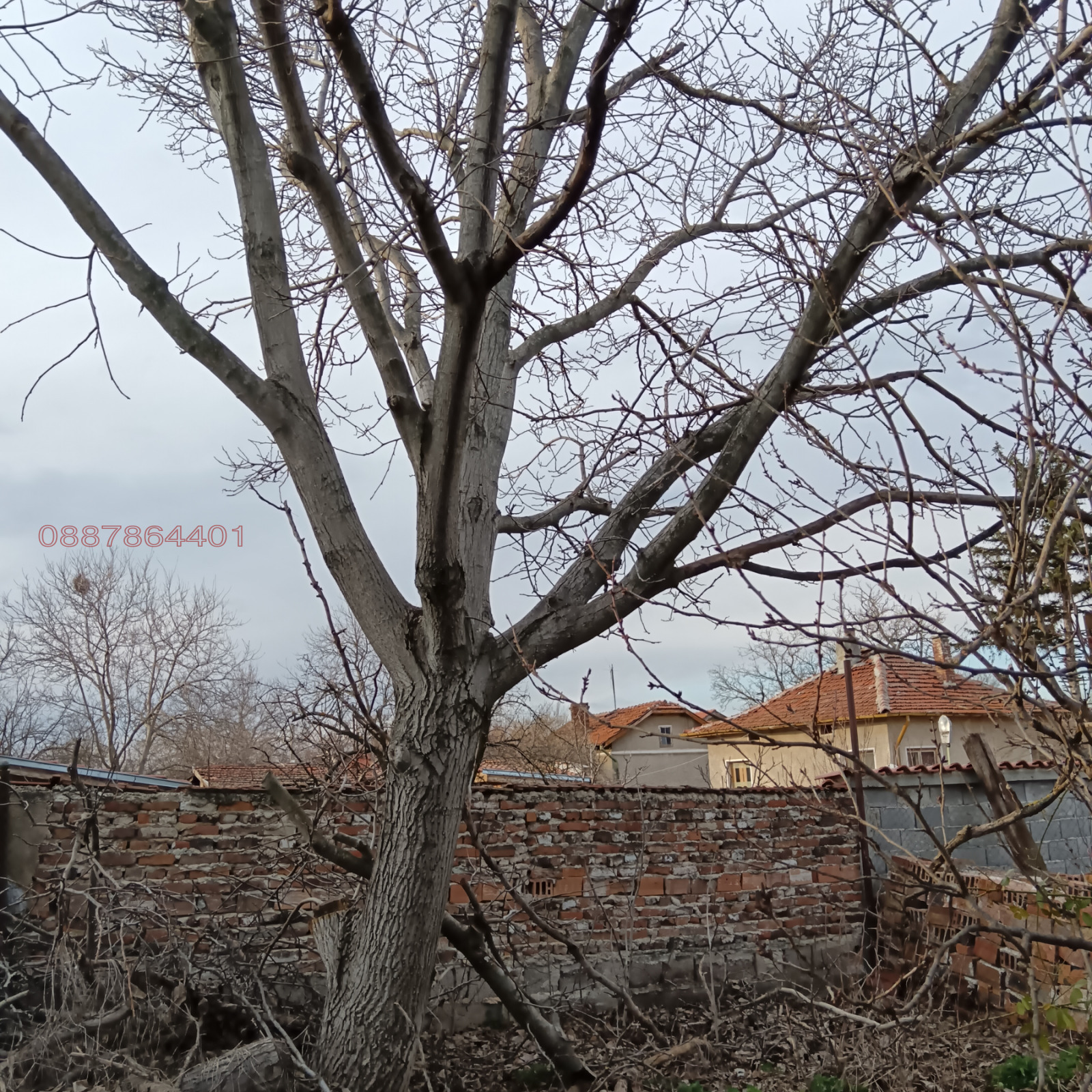 ������� ���� | Imot.bg � ����������� 5