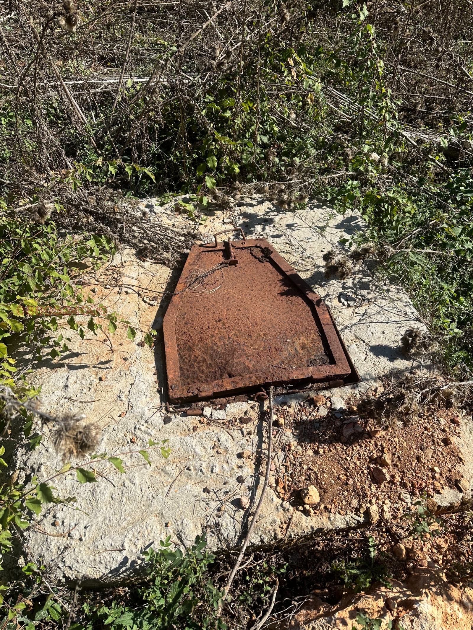 ������� ������ | Imot.bg � ����������� 8