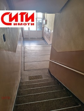 ����� ������� 3-�����,���� ����� ������, ������