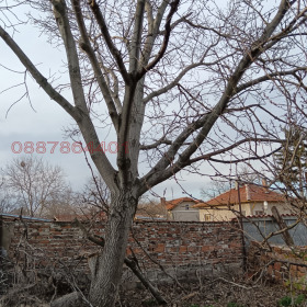 ������� ���� | Imot.bg � ����� ������ 5