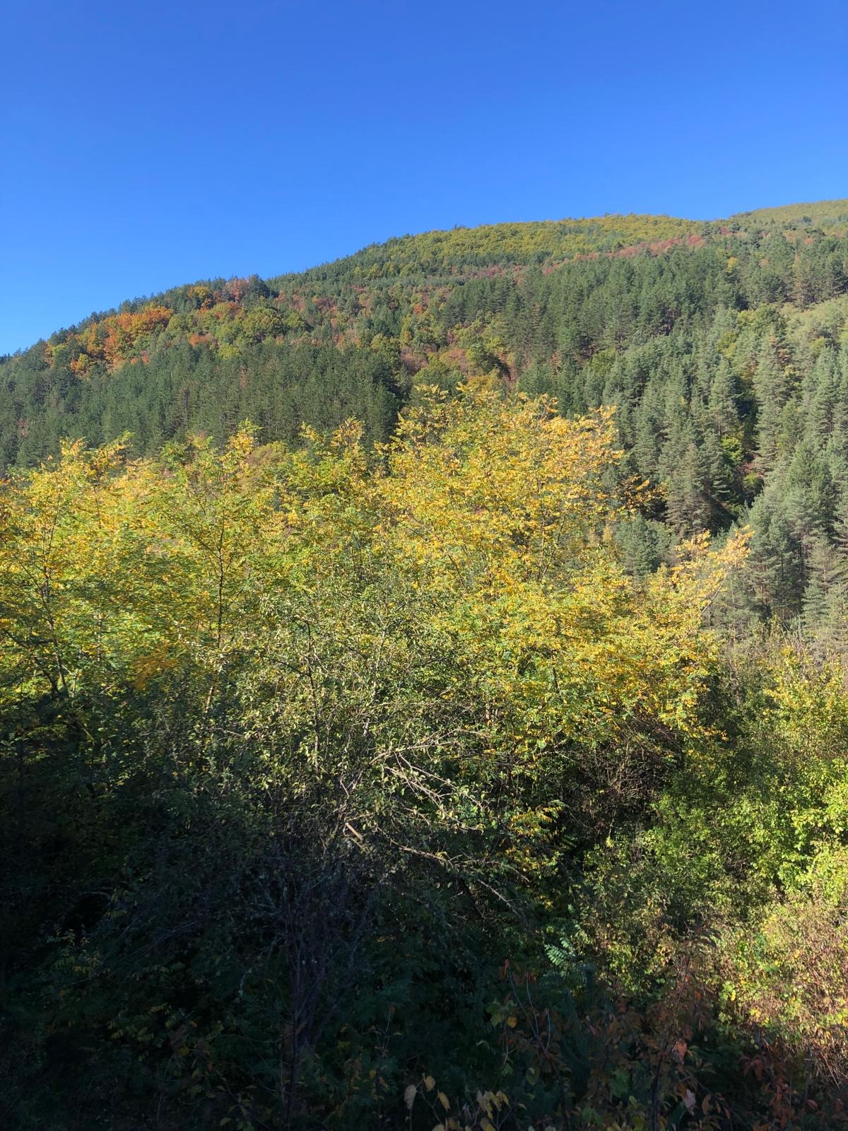 Продава КЪЩА | Imot.bg — изображение 2