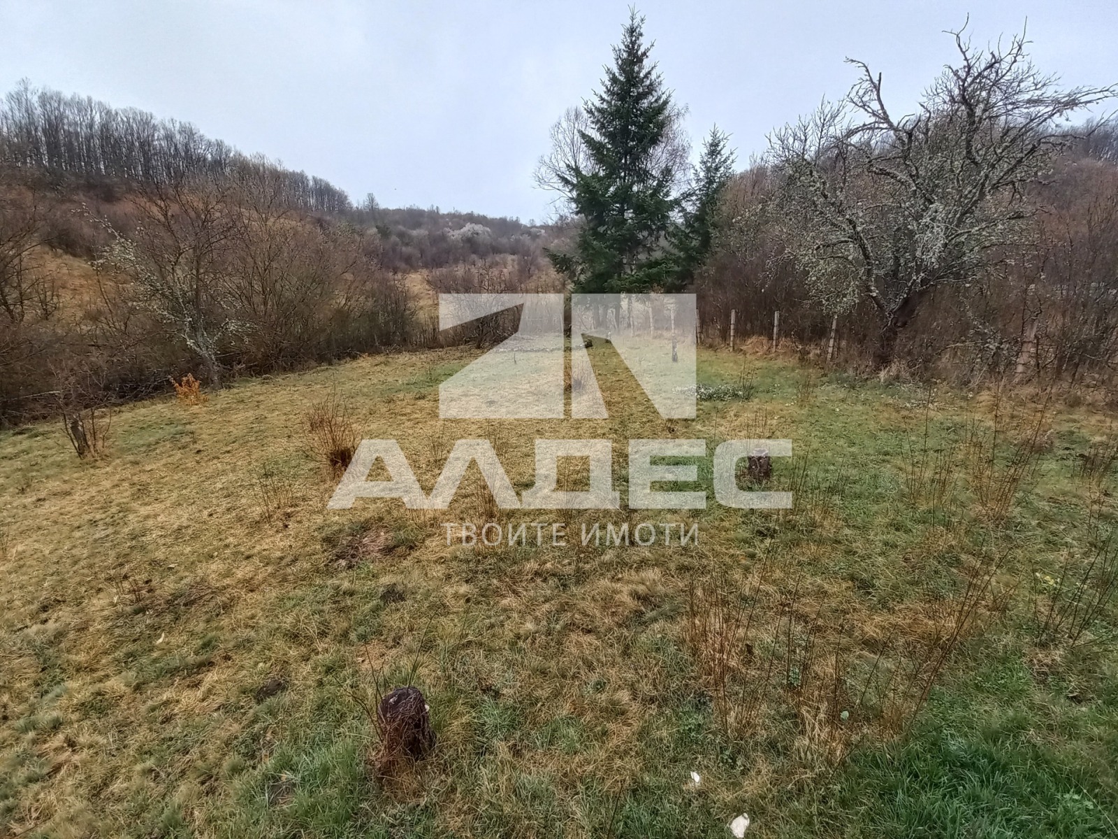 ������� ���� | Imot.bg � ����������� 14