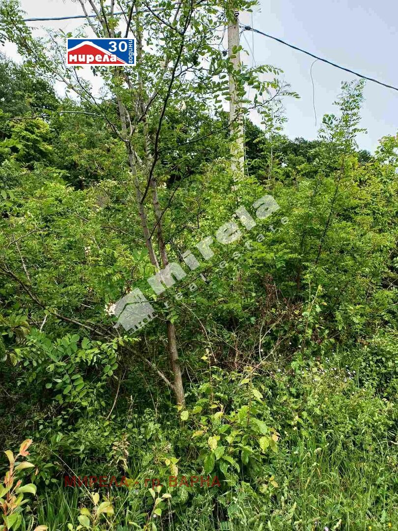 Продава ПАРЦЕЛ | Imot.bg — изображение 6