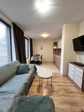 1 Schlafzimmer Bansko, region Blagoewgrad