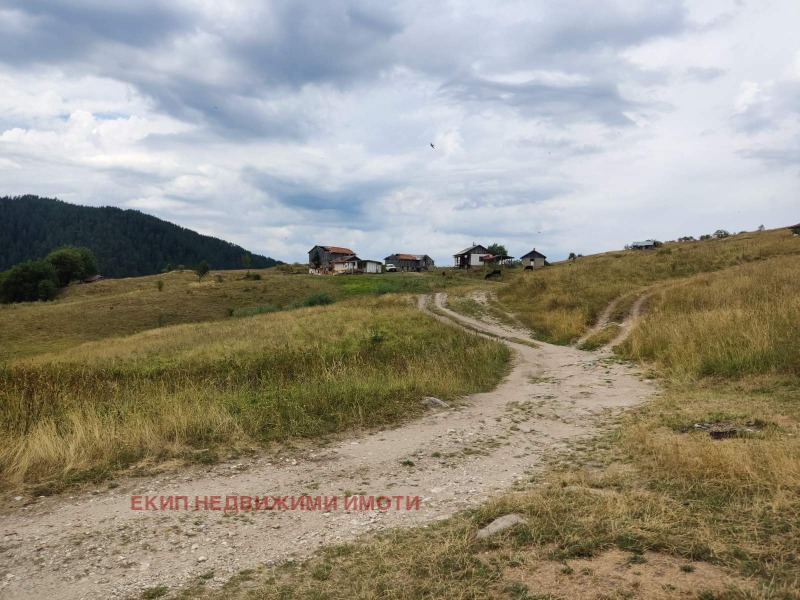 Til salg  Hus region Smolyan , Mugla , 300 kvm | 85436285 - billede [4]