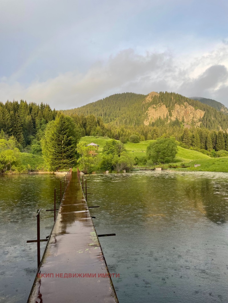 Til salg  Hus region Smolyan , Mugla , 300 kvm | 85436285 - billede [10]