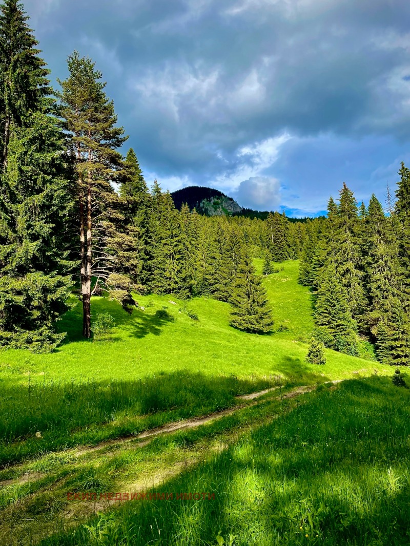 Til salg  Hus region Smolyan , Mugla , 300 kvm | 85436285 - billede [11]