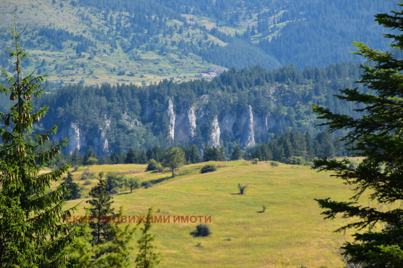 Til salg  Hus region Smolyan , Mugla , 300 kvm | 85436285 - billede [6]