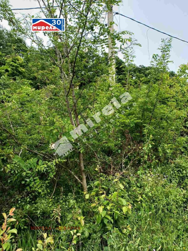 Te koop  Verhaallijn Varna , m-t Salzitsa , 1060 m² | 26586152 - afbeelding [6]