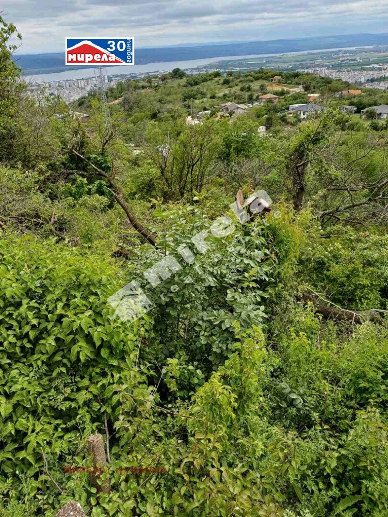 Te koop  Verhaallijn Varna , m-t Salzitsa , 1060 m² | 26586152 - afbeelding [4]