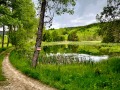 Продава КЪЩА, област Смолян, с. Мугла • 350000 € / 684540.50 лв. • 31423076 12