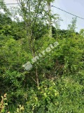 Продава ПАРЦЕЛ, град Варна, м-т Сълзица • 65000 € / 127128.95 лв. • 33704143 6