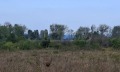 Продава ПАРЦЕЛ, област Бургас, гр. Созопол • 170040 € / 332569.33 лв. • 70848800 4