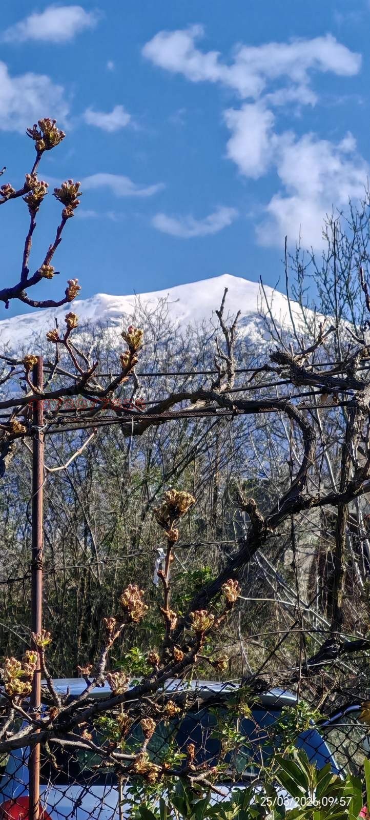 ������� ���� | Imot.bg � ����������� 4