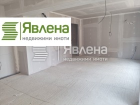 3-стаен град София, Карпузица