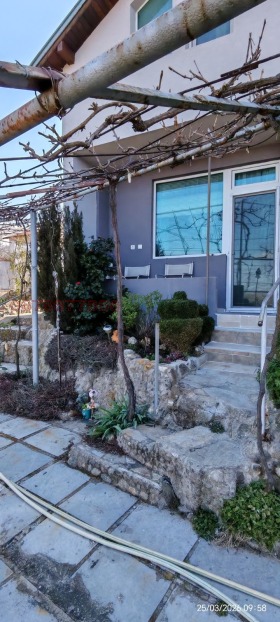 ����� ������� ����,�. ����, ������ ���������