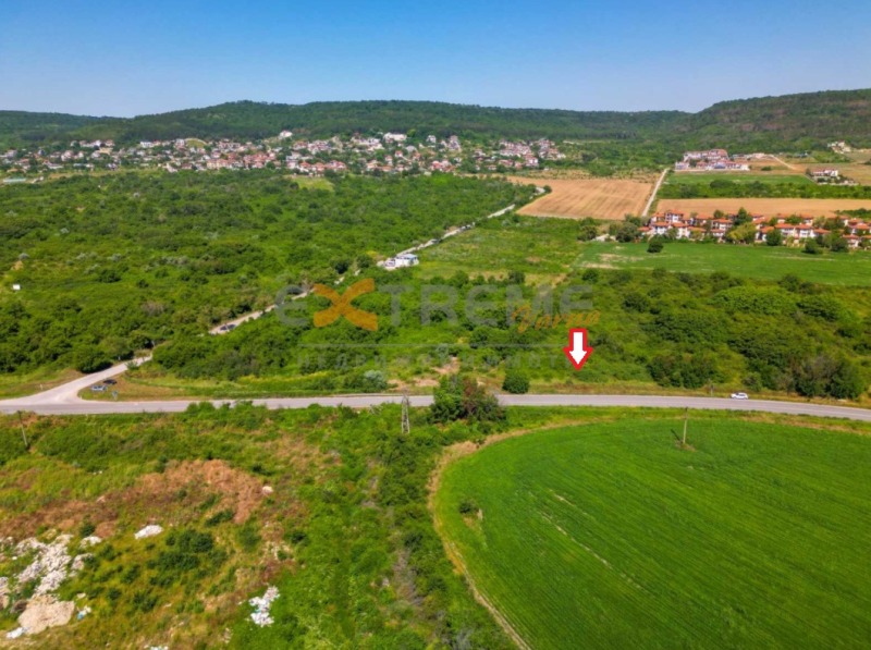 For Sale  Plot region Dobrich , Rogachevo , 5020 sq.m | 17267631 - image [2]