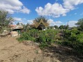Продава КЪЩА, с. Соколово, област Добрич, снимка 10
