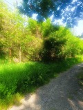 Продава ПАРЦЕЛ, град София, м-т яз. Искър • 35980 € • 25552628 — Holmes.bg