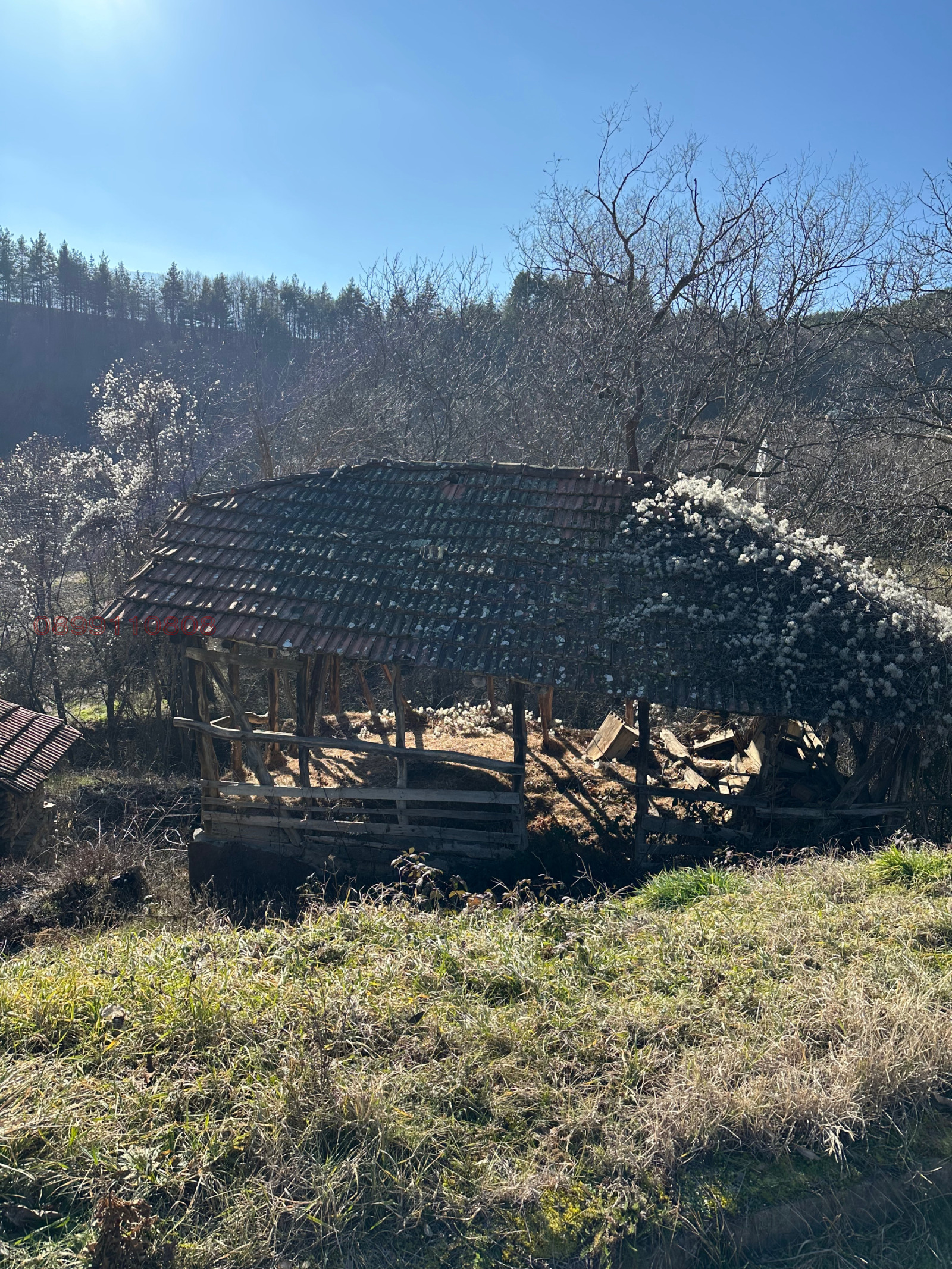 ������� ���� | Imot.bg � ����������� 10