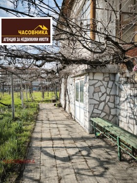 ������ ������� ����