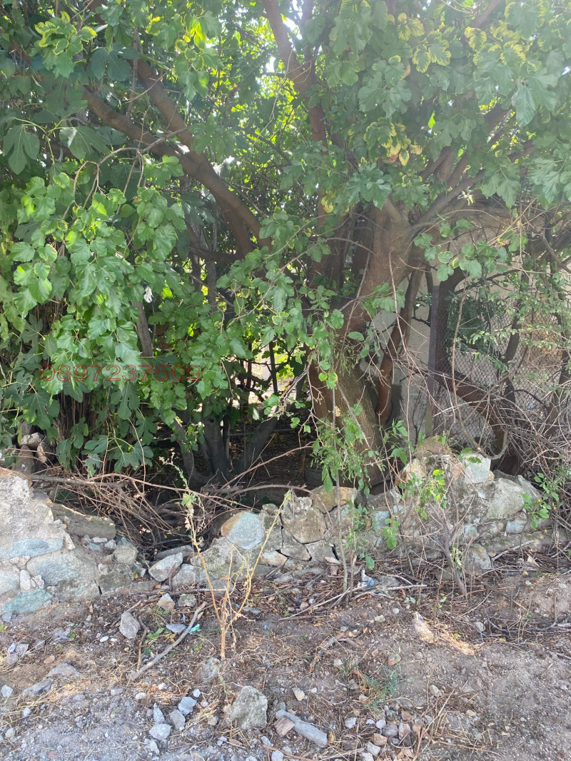 Продава КЪЩА, с. Левски, област Пазарджик, снимка 11 - Къщи - 52780558