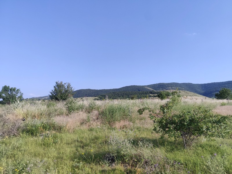Продава  Парцел, област Пловдив, с. Белащица • 50 000 € • ID 95513742 — holmes.bg - [1] 