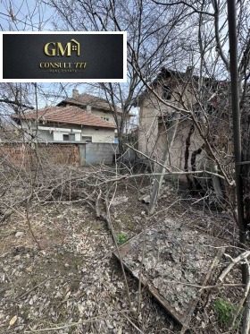 ����� ������� ����,���� ������, ���������