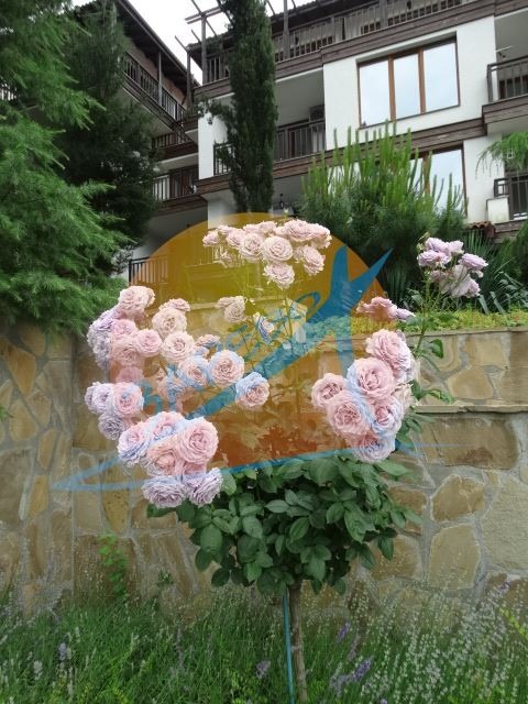 Продава 3-СТАЕН, гр. Созопол, област Бургас, снимка 14 - Апартаменти - 54847914