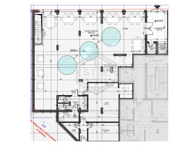 ����� ������� ���������,���� ����, ������