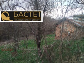 ������ ������� ������