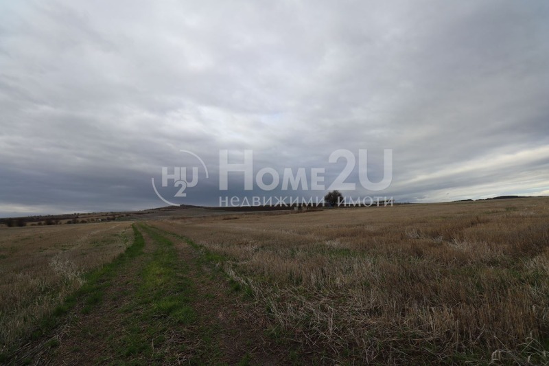 Till salu  Komplott region Sofia , Prolesja , 670 kvm | 56346519 - bild [4]