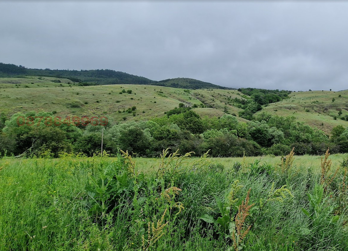 ������� ������ | Imot.bg � ����������� 5